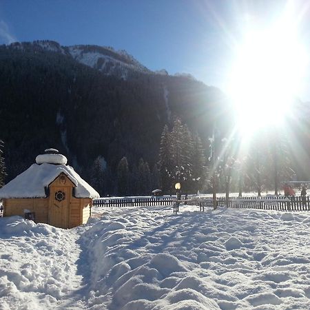 Hotel Stella Alpina Falcade Εξωτερικό φωτογραφία