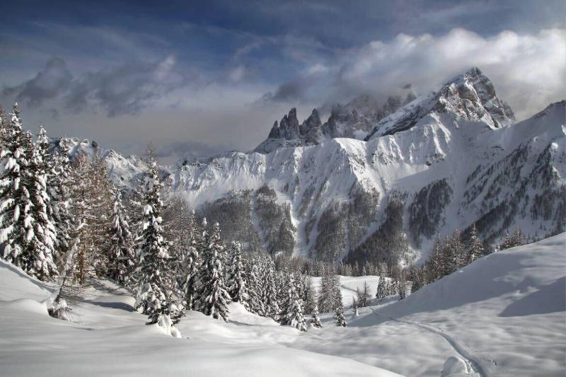 Hotel Stella Alpina Falcade Εξωτερικό φωτογραφία