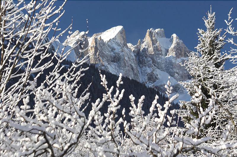 Hotel Stella Alpina Falcade Εξωτερικό φωτογραφία