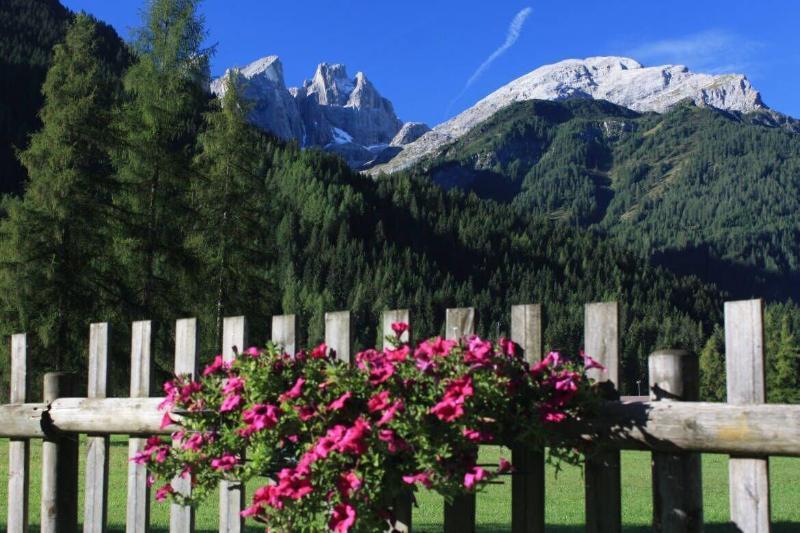 Hotel Stella Alpina Falcade Εξωτερικό φωτογραφία