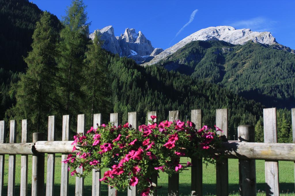 Hotel Stella Alpina Falcade Εξωτερικό φωτογραφία