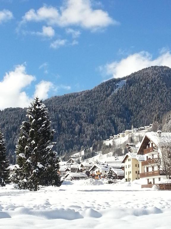 Hotel Stella Alpina Falcade Εξωτερικό φωτογραφία